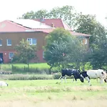 Schaeferhof Dircks 3