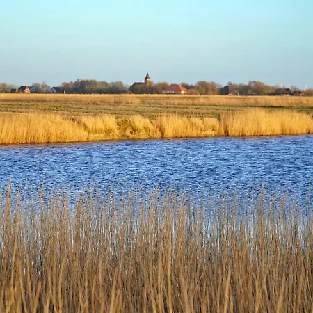 Schaeferhof Dircks 3 Apartman Westerhever