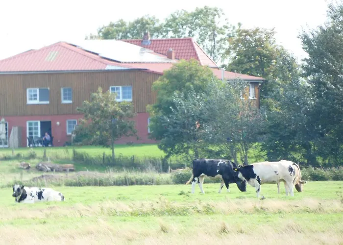 Schaeferhof Dircks 3