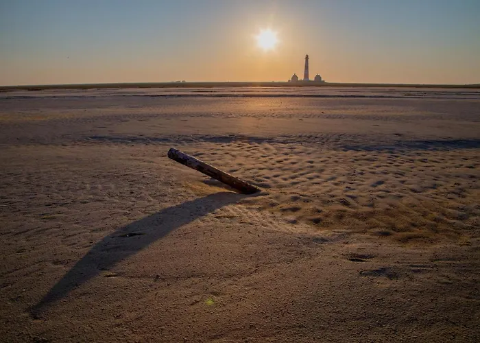 Schaeferhof Dircks 3 Vesterhever